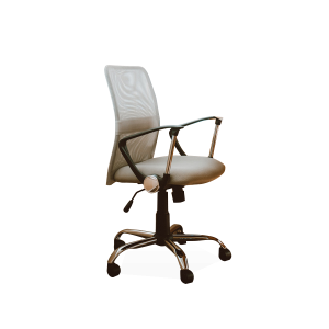 Rooms working chair with armrest